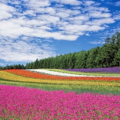 嘉实中证500ETF联接A净值下跌3.92%